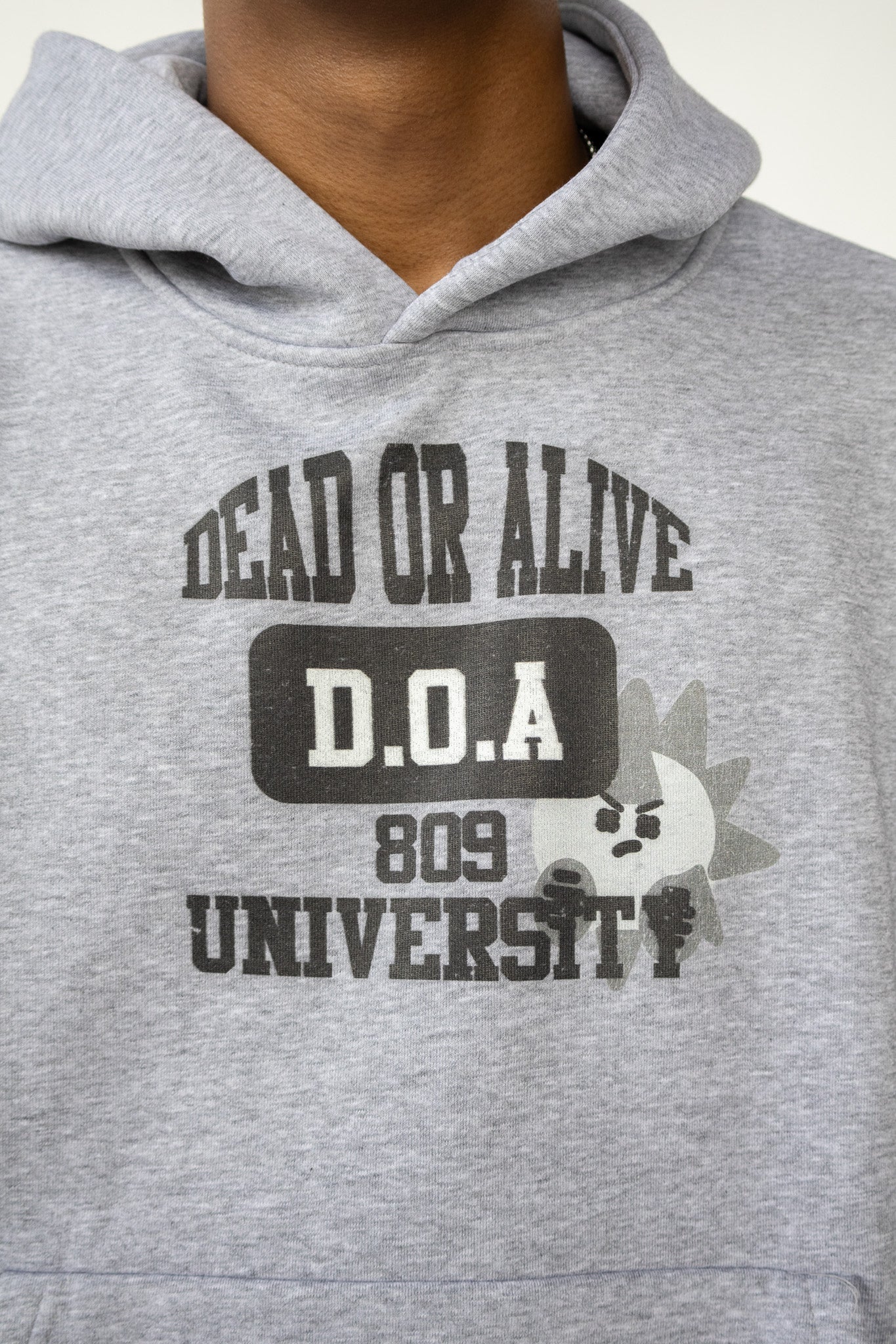 Grey Cosmos College Hoodie