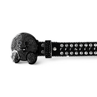 Cosmos Belt