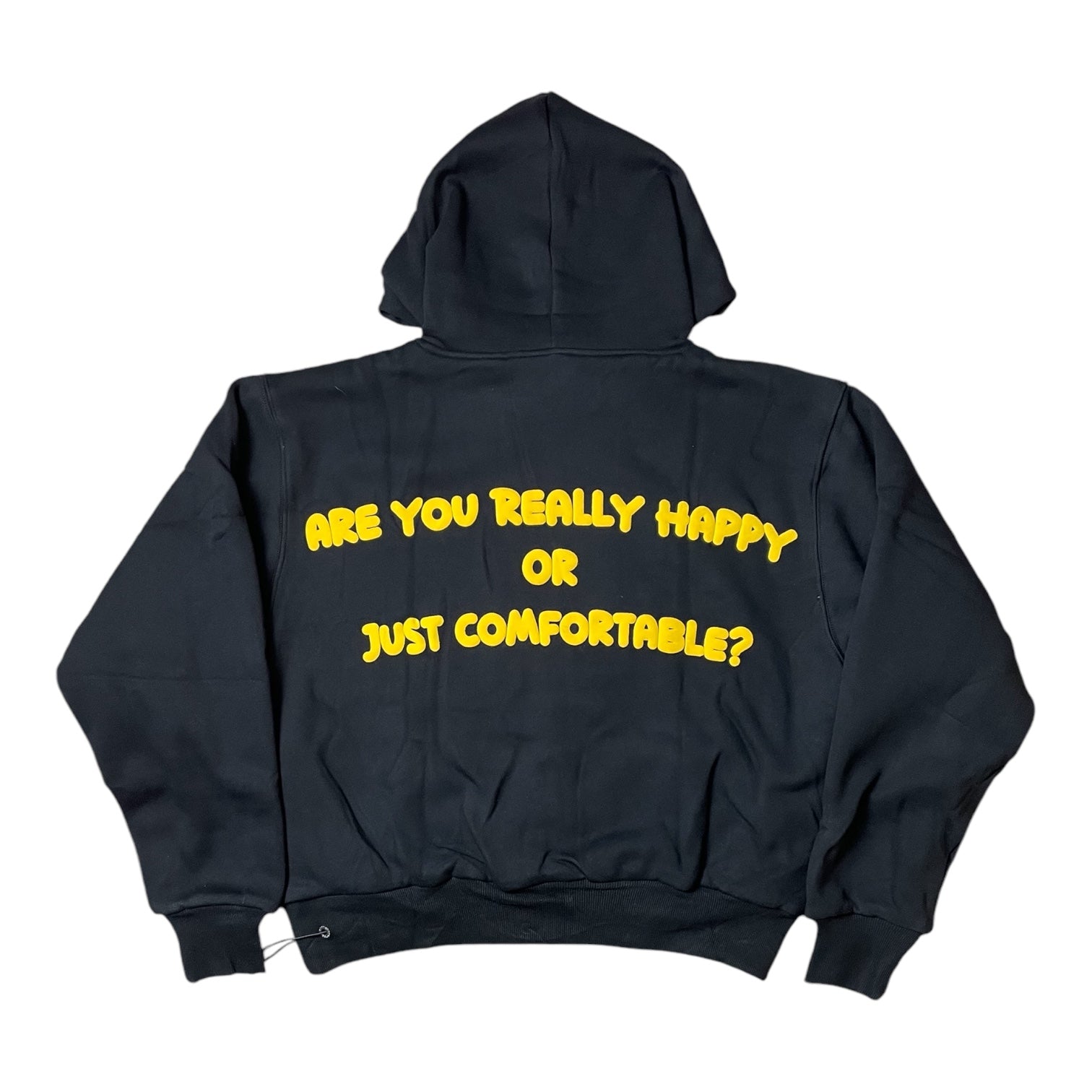 Are You Really Happy Hoodie (Never Restocking)